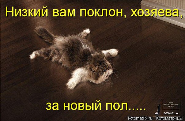 http://cs534.vkontakte.ru/u43692401/101261245/x_33a5de0d.jpg