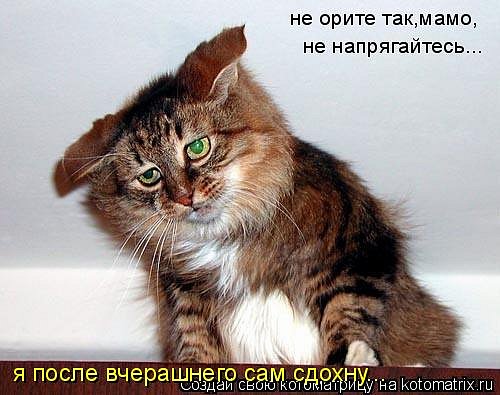 http://cs534.vkontakte.ru/u43692401/101261245/x_79a55586.jpg